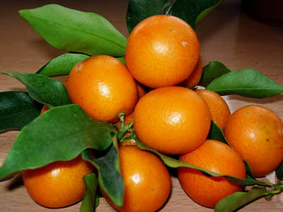 ���L̶���p���~��Ʒ���